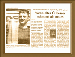 Mainpost Wertheim newspaper article regarding the expo project